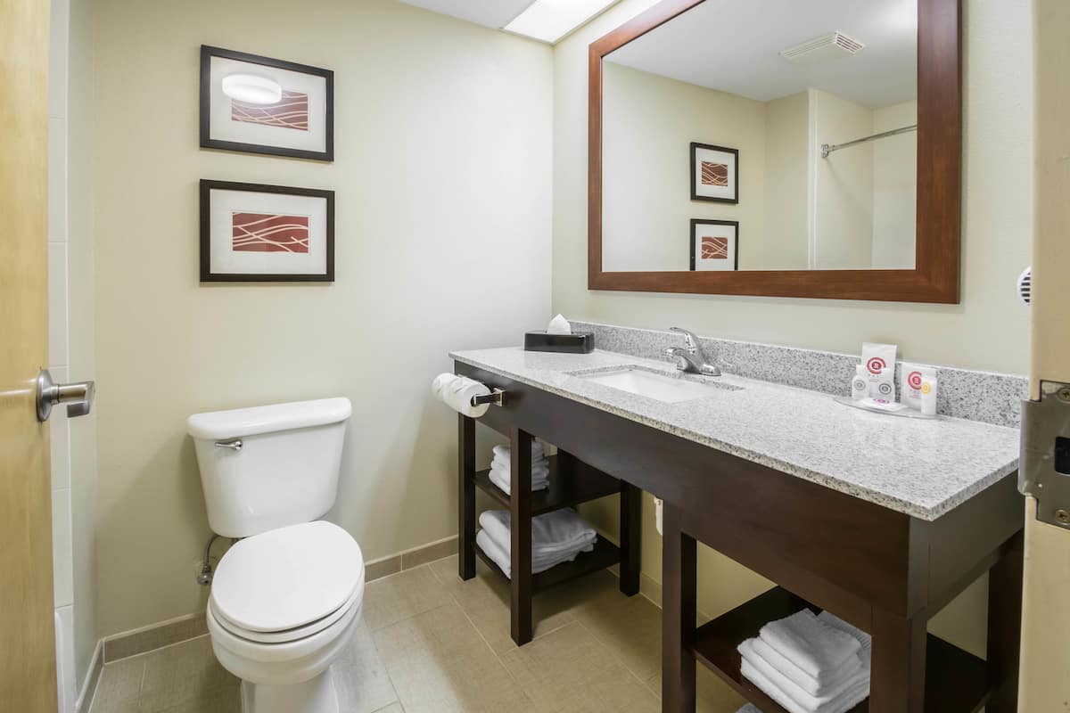 Free toiletries, hair dryer, towels, soap