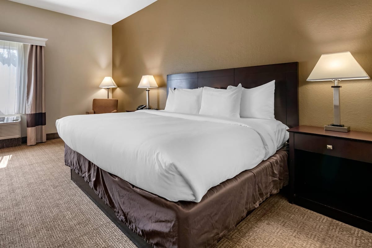Premium bedding, iron/ironing board, free cots/infant beds
