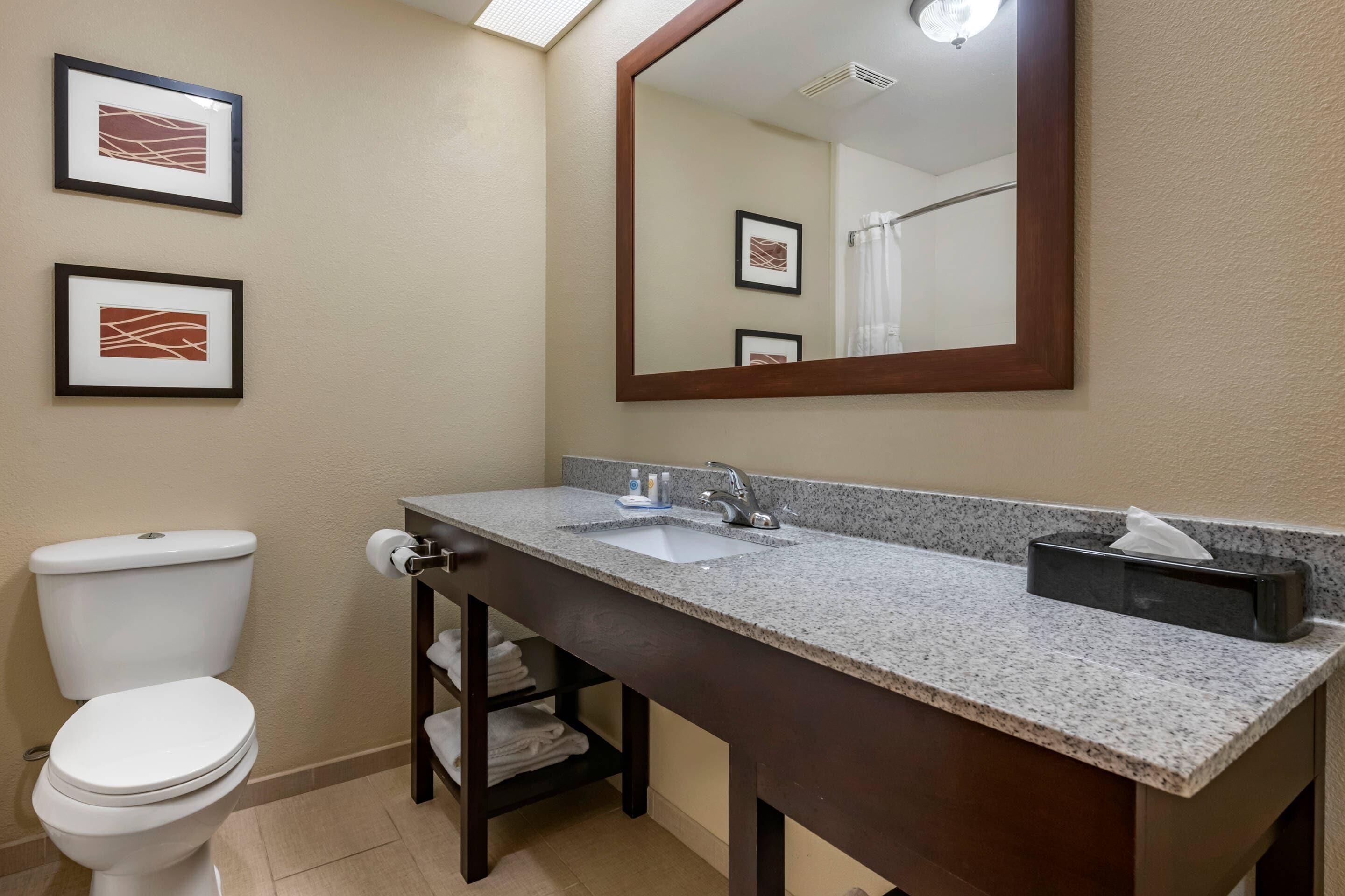 A bathroom with a white toilet, a sink with a mirror above it, and two framed pictures on the wall.
