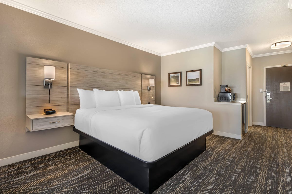 Premium View King Suite - Bayfront | Premium bedding, pillowtop beds, in-room safe, individually decorated