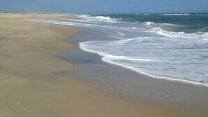 A beach with wide sandy shores and gentle waves.