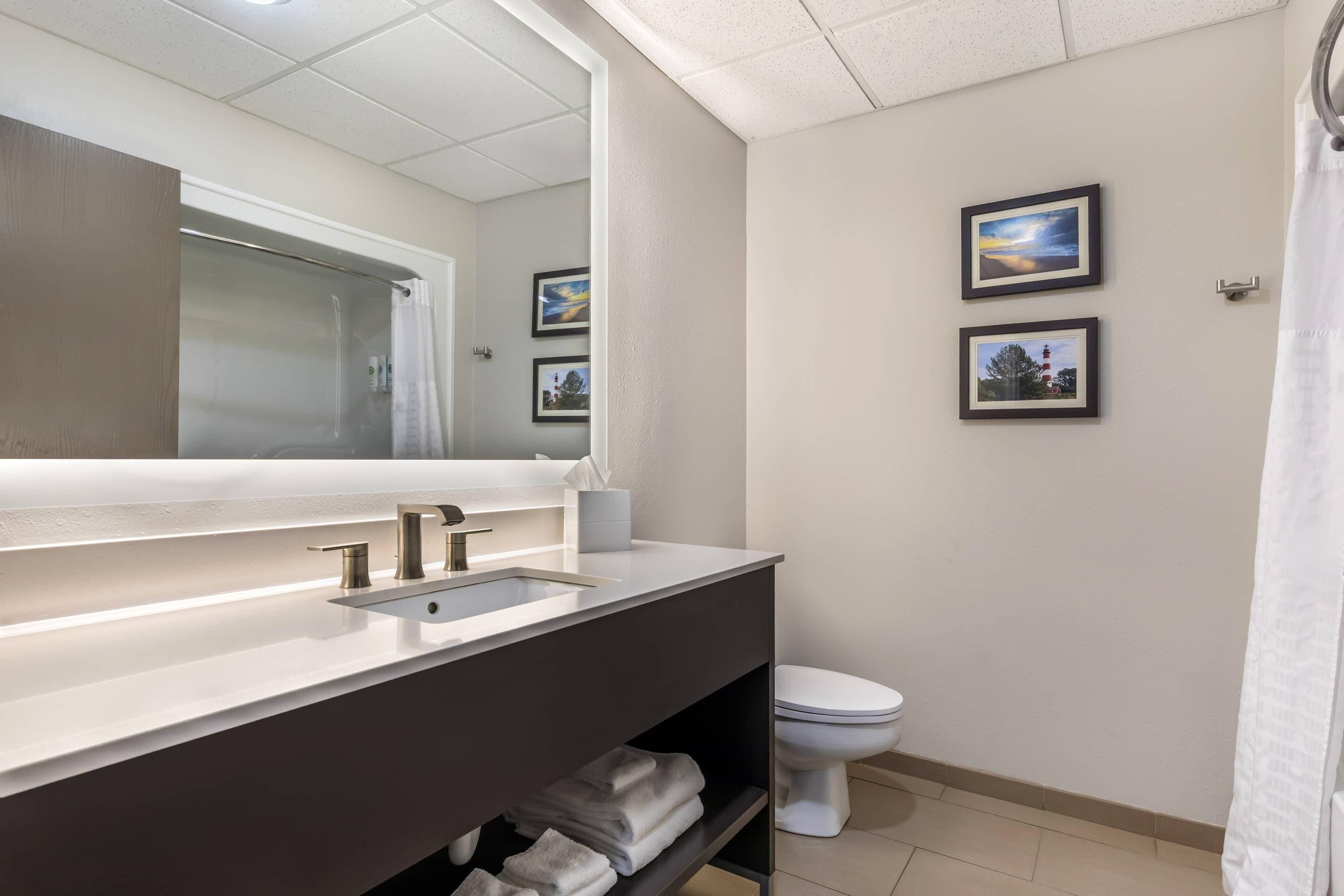 Un baño moderno con un espejo grande, lavamanos dobles y un inodoro. Hay dos cuadros enmarcados en la pared y una cortina de ducha.