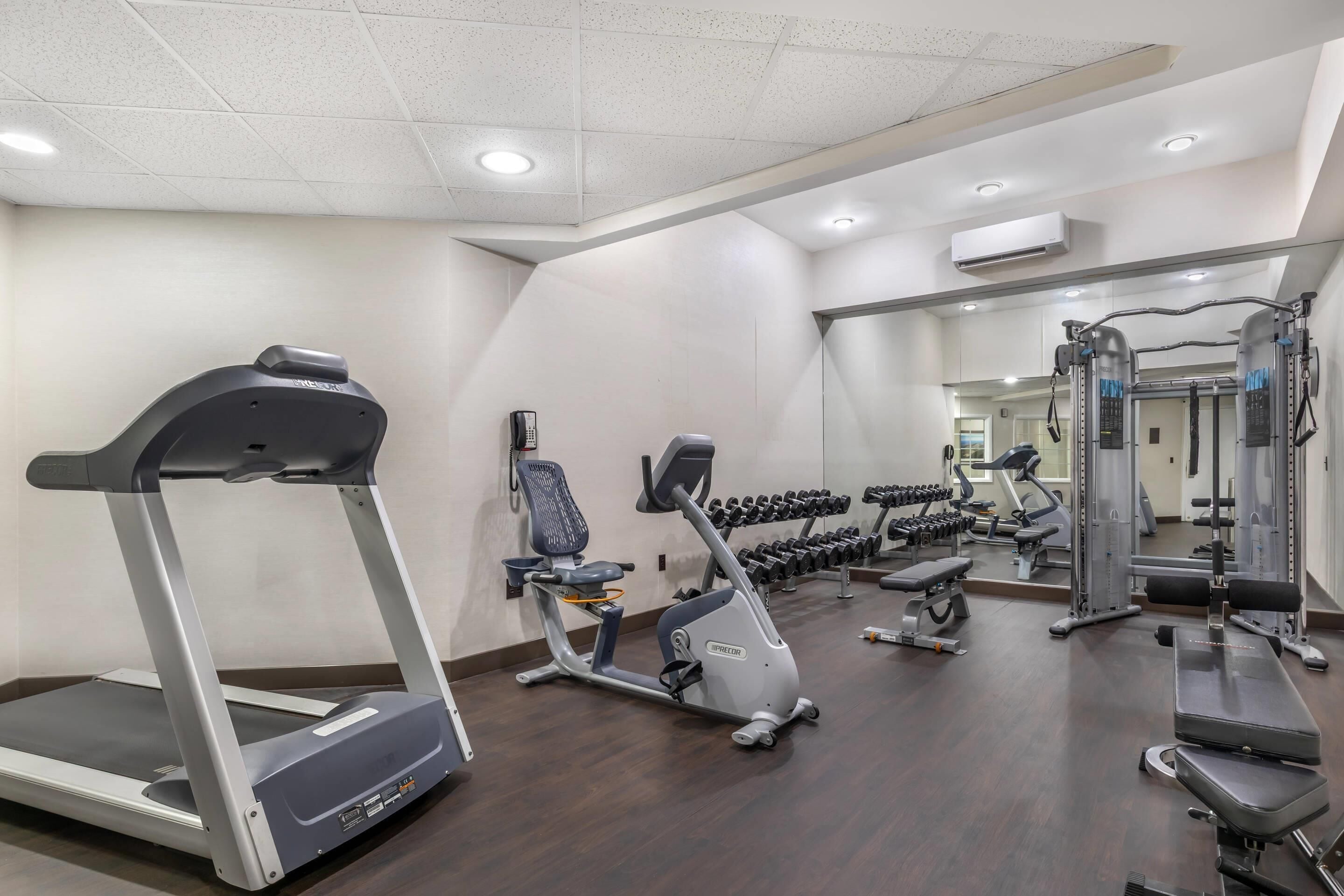 A gym with a treadmill, elliptical, and weight machines.