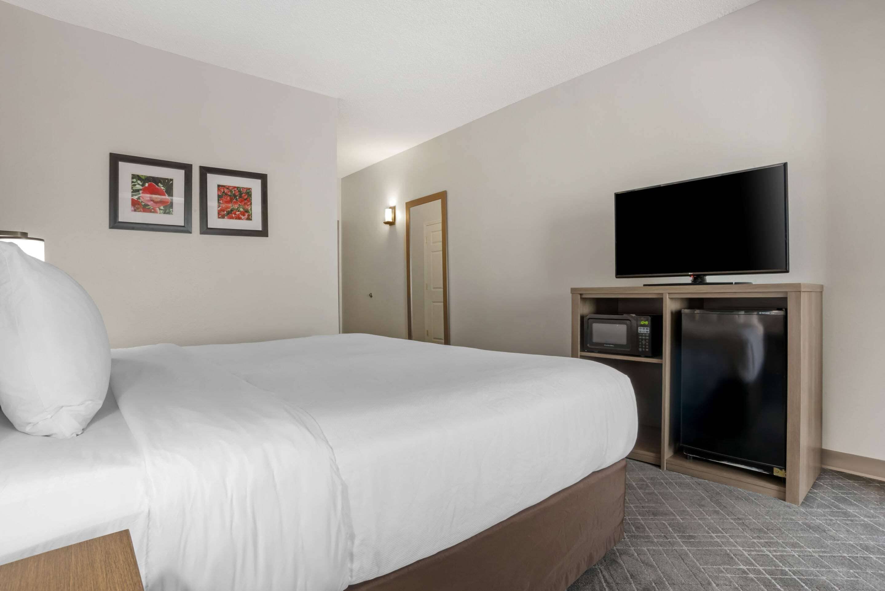 room, 1 king bed with sofa bed, accessible, non smoking | desk, iron/ironing board, free wifi, bed sheets