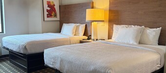 Edn Hotel