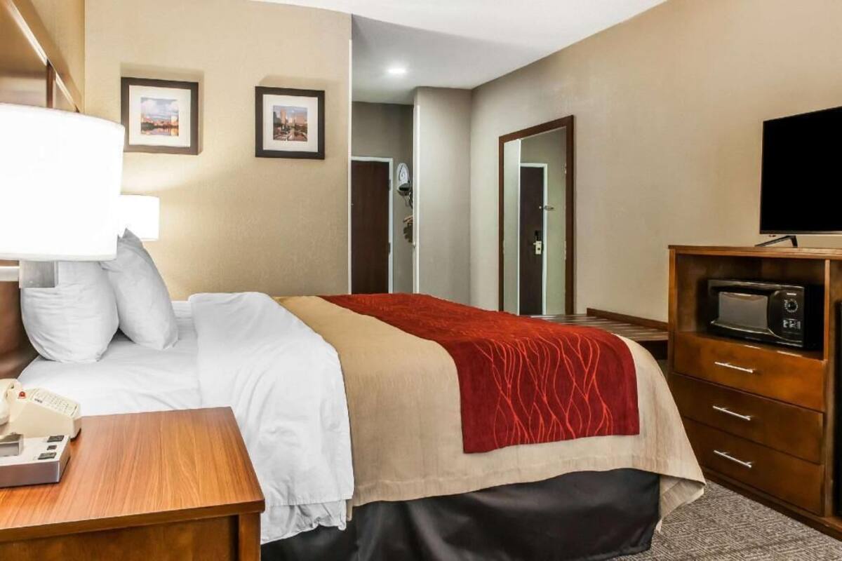 A hotel room with a bed, bedside table, lamp, TV, and a microwave.