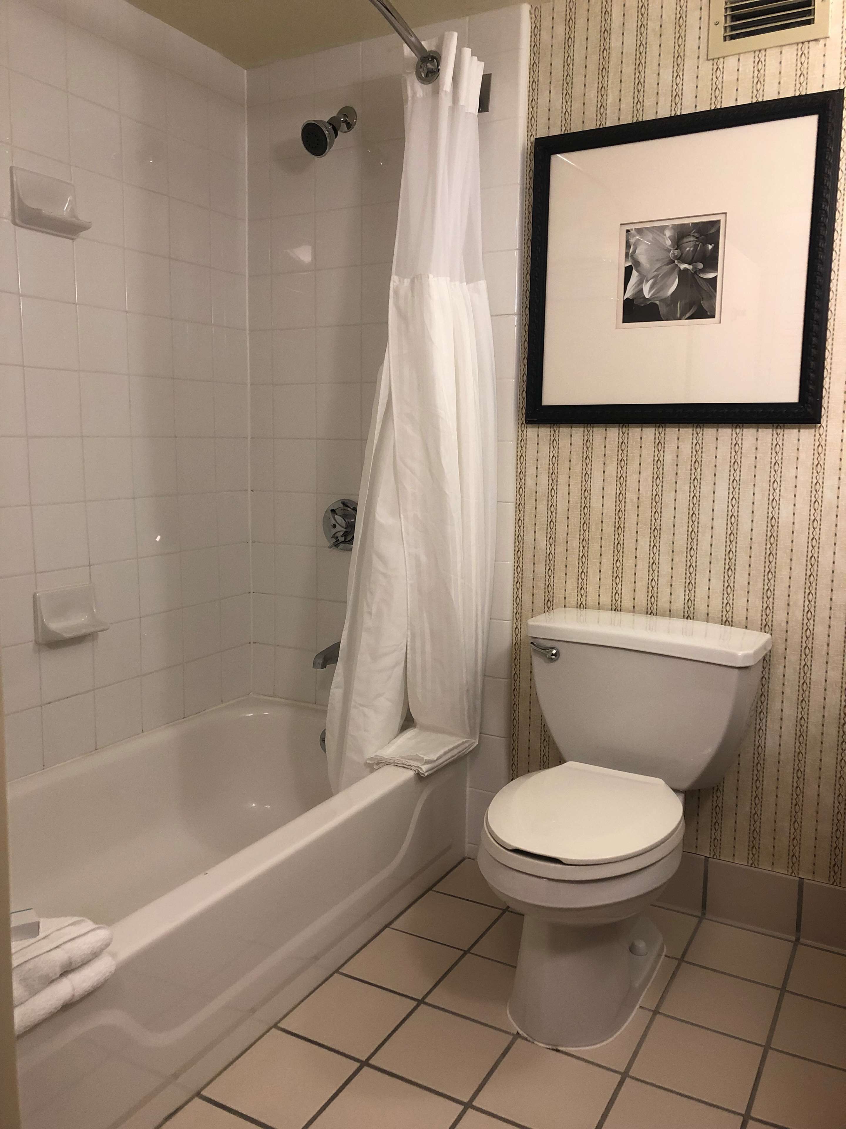 combined shower/bathtub, free toiletries, hair dryer, towels