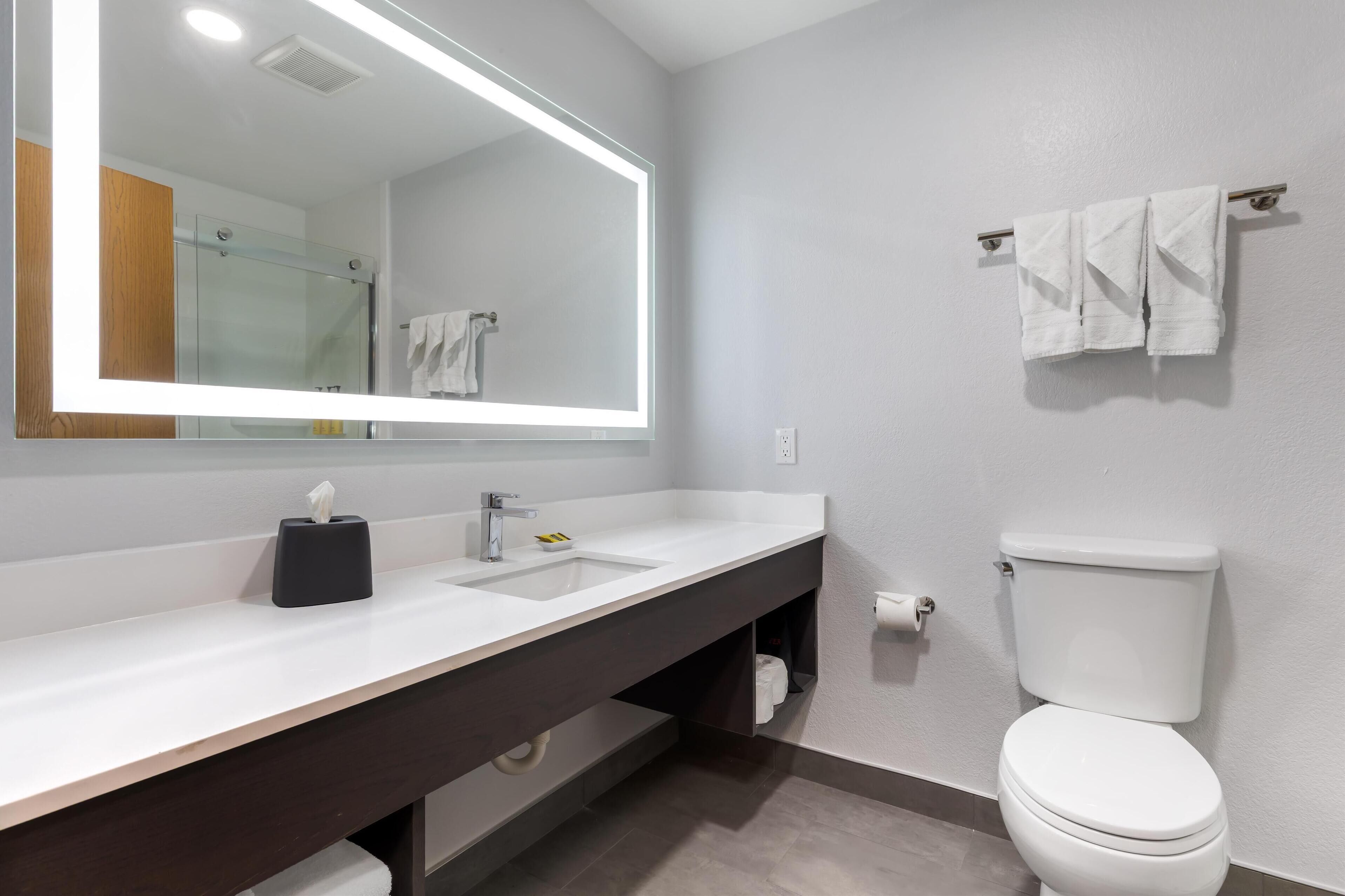 combined shower/bathtub, free toiletries, hair dryer, towels