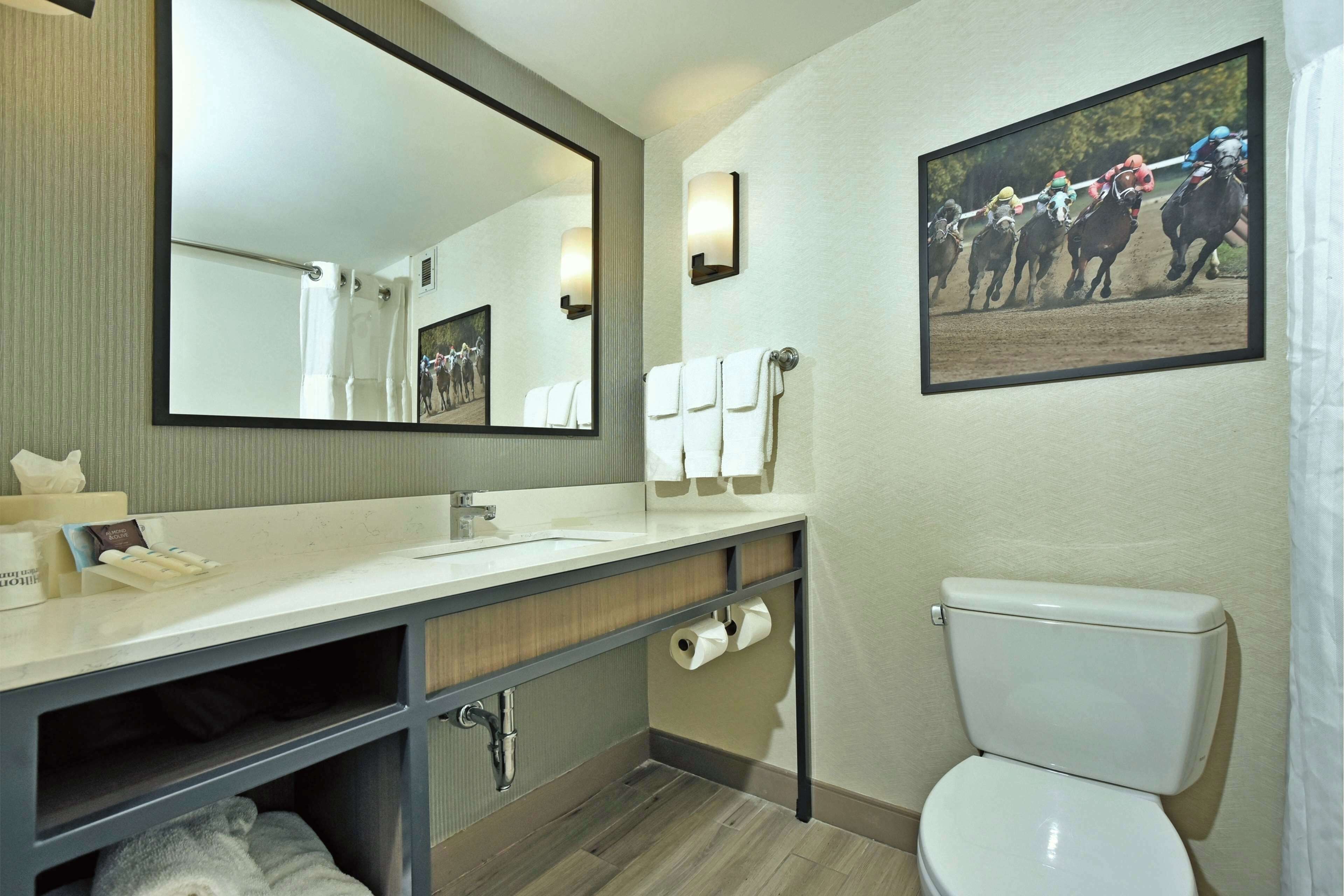 A bathroom with a large mirror, a sink, a toilet, and a towel rack.