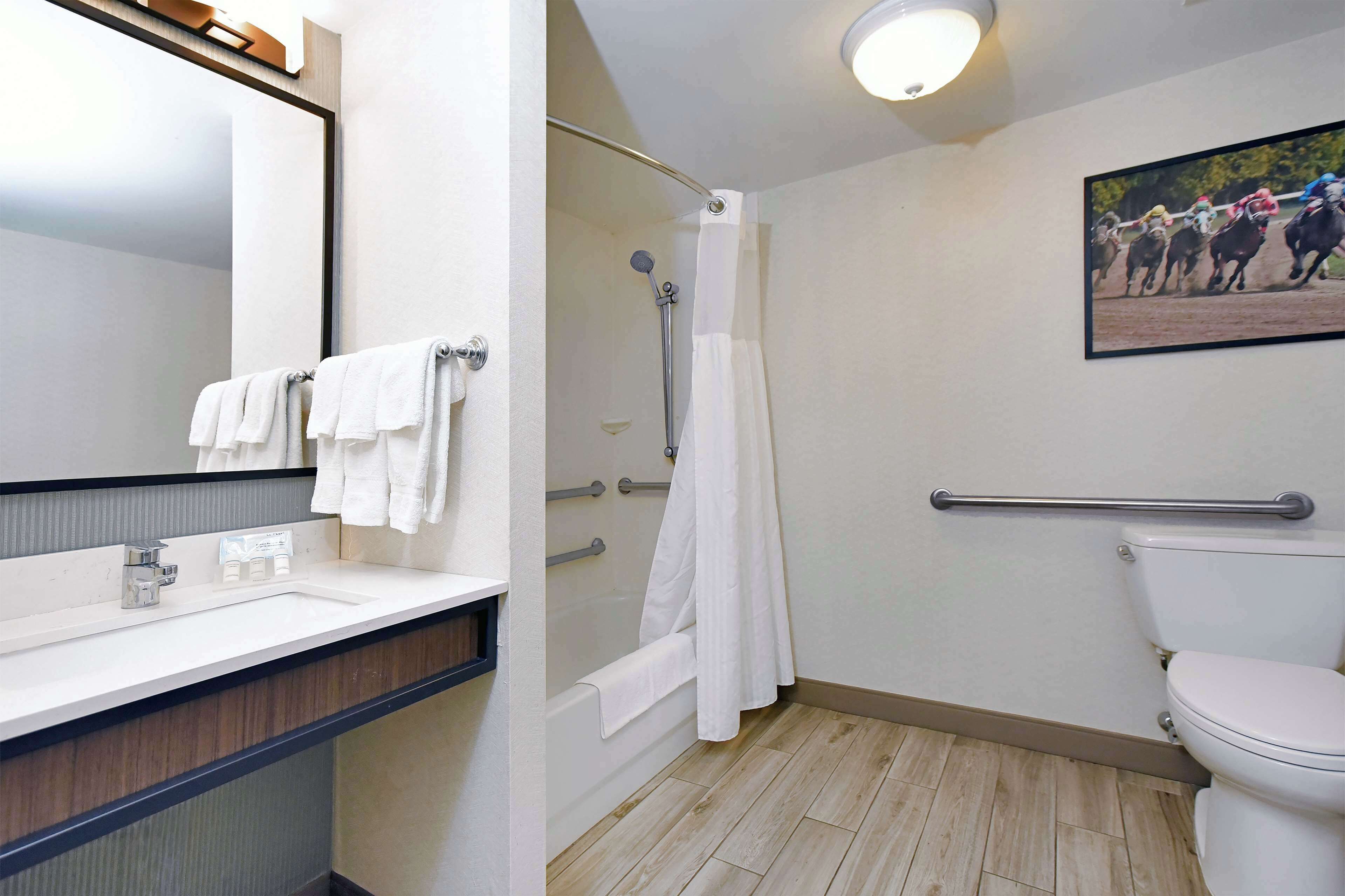 A bathroom with a sink, mirror, shower, toilet, and a mounted picture of a horse race.