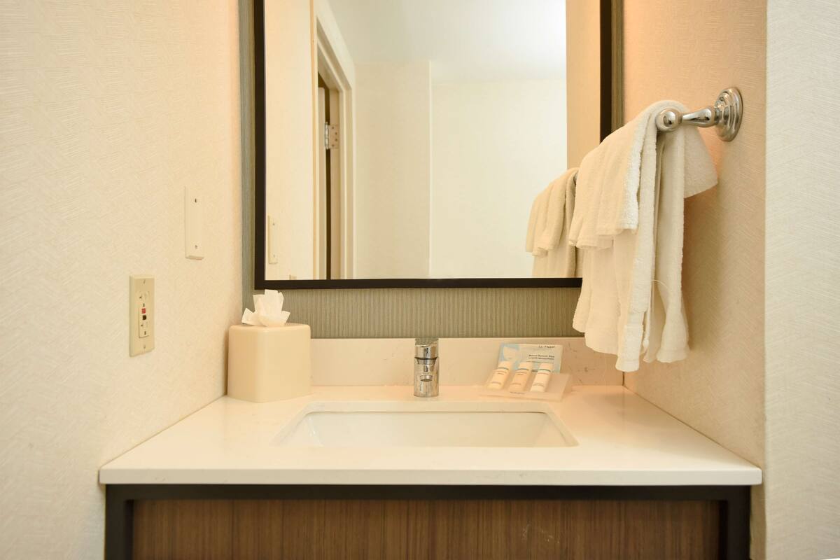 combined shower/bathtub, free toiletries, hair dryer, towels