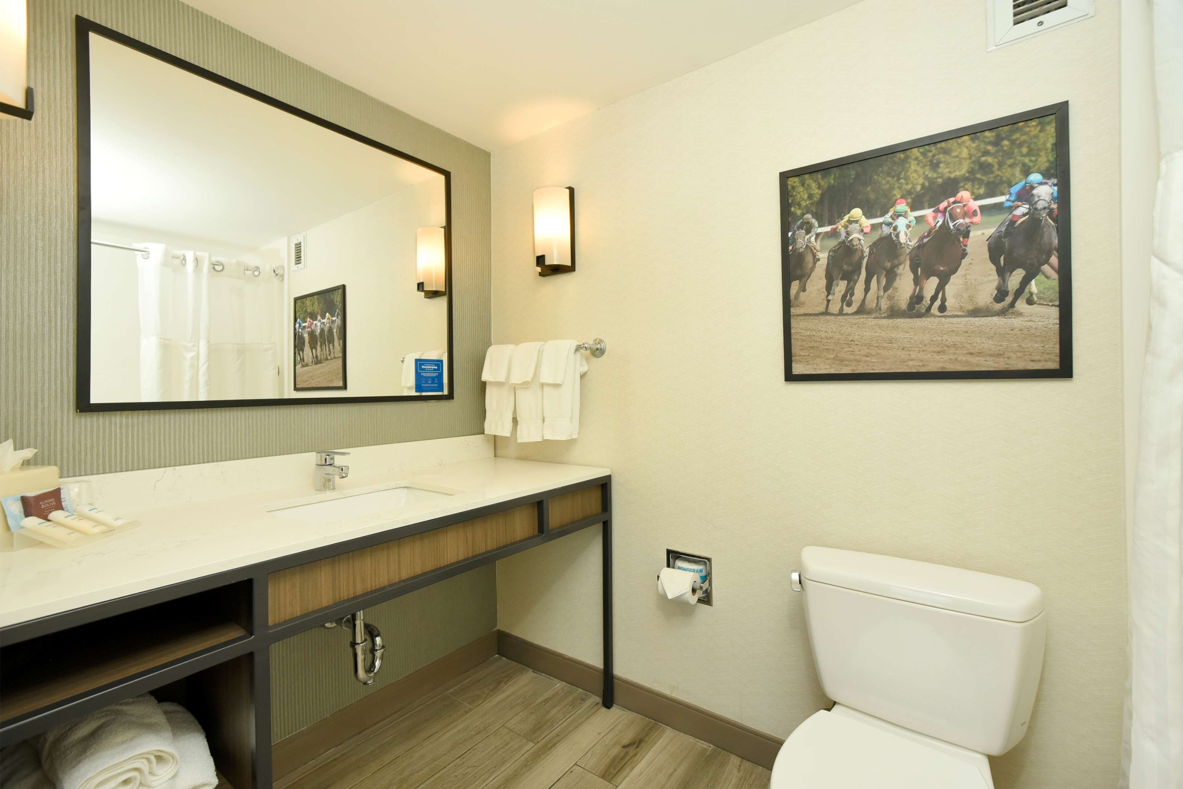 A bathroom with a large mirror, a sink, a toilet, and a framed picture of horses.