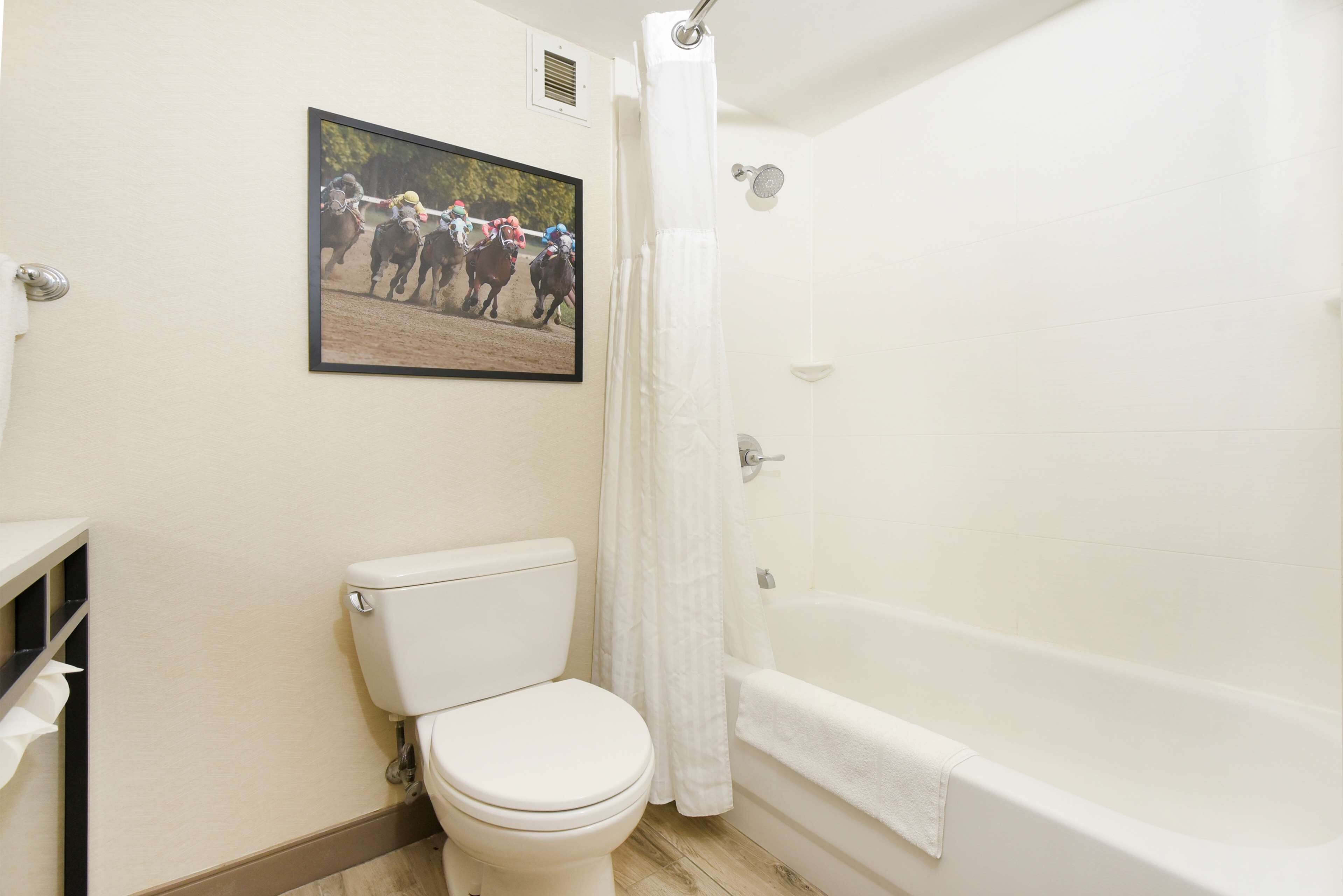 A bathroom with a toilet, a bathtub, and a shower curtain.