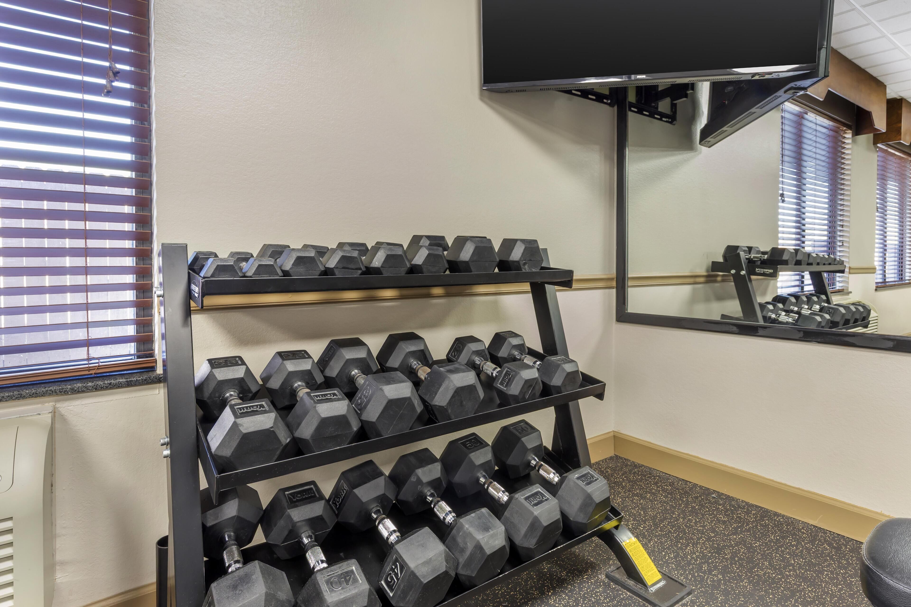 A gym with a rack of dumbbells and a television mounted on the wall.