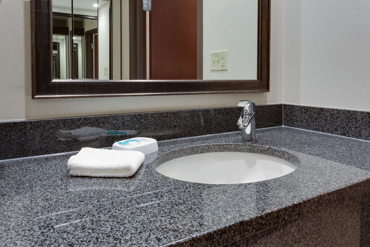 combined shower/bathtub, free toiletries, hair dryer, towels