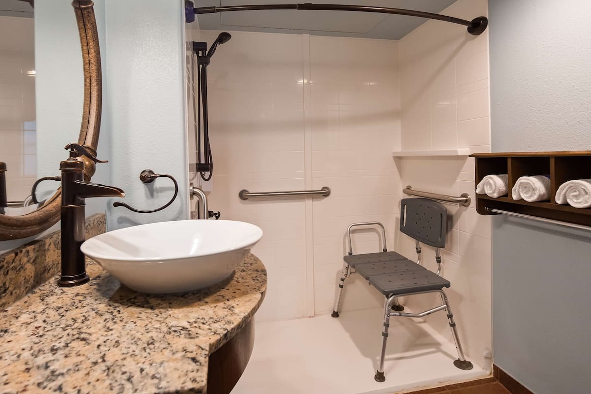 suite, 1 king bed with sofa bed, accessible, non smoking (with sofabed) | bathroom | free toiletries, hair dryer, towels, soap