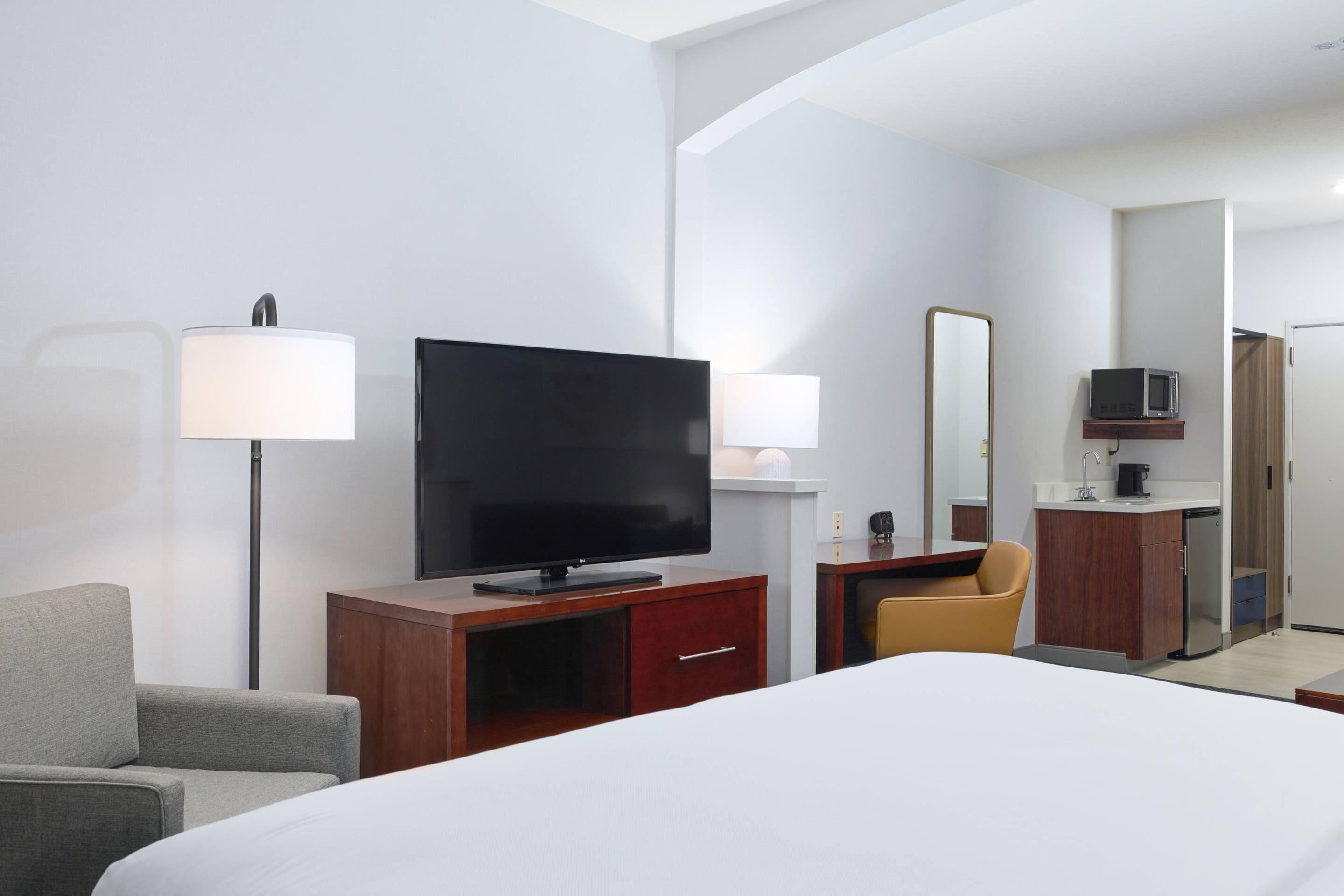 Studio Suite, 1 King Bed with Sofa bed