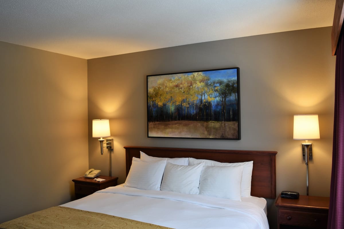 Suite, 1 Bedroom | Egyptian cotton sheets, premium bedding, down comforters, in-room safe