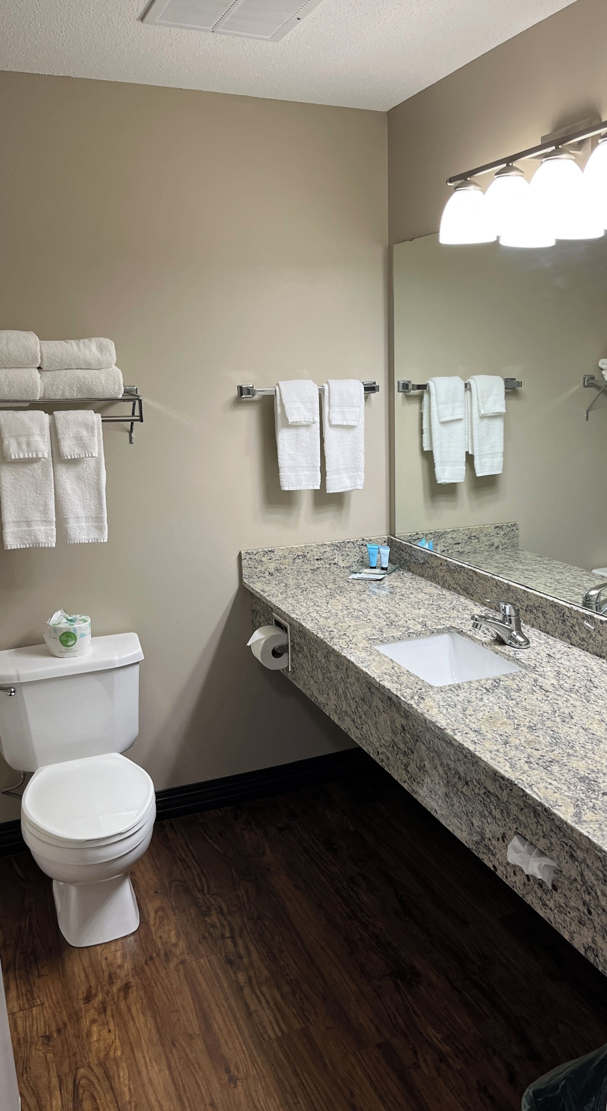 A bathroom with a toilet, sink, mirror, and towels.