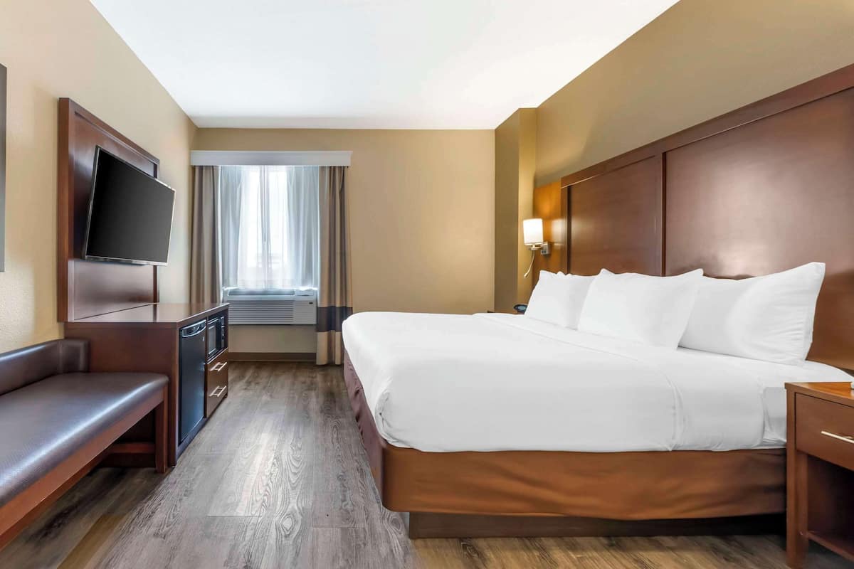 1 King Bed, Suite with Sofabed, Nonsmoking, Accessible | Desk, laptop workspace, blackout drapes, iron/ironing board