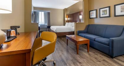 Comfort Suites At The University - Conway