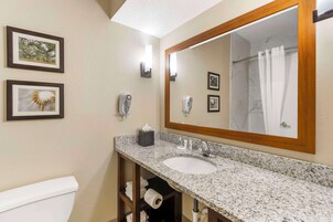 Bañera con ducha, artículos de tocador gratuitos, secador de pelo