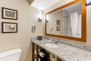 Combined shower/tub, free toiletries, hair dryer, towels