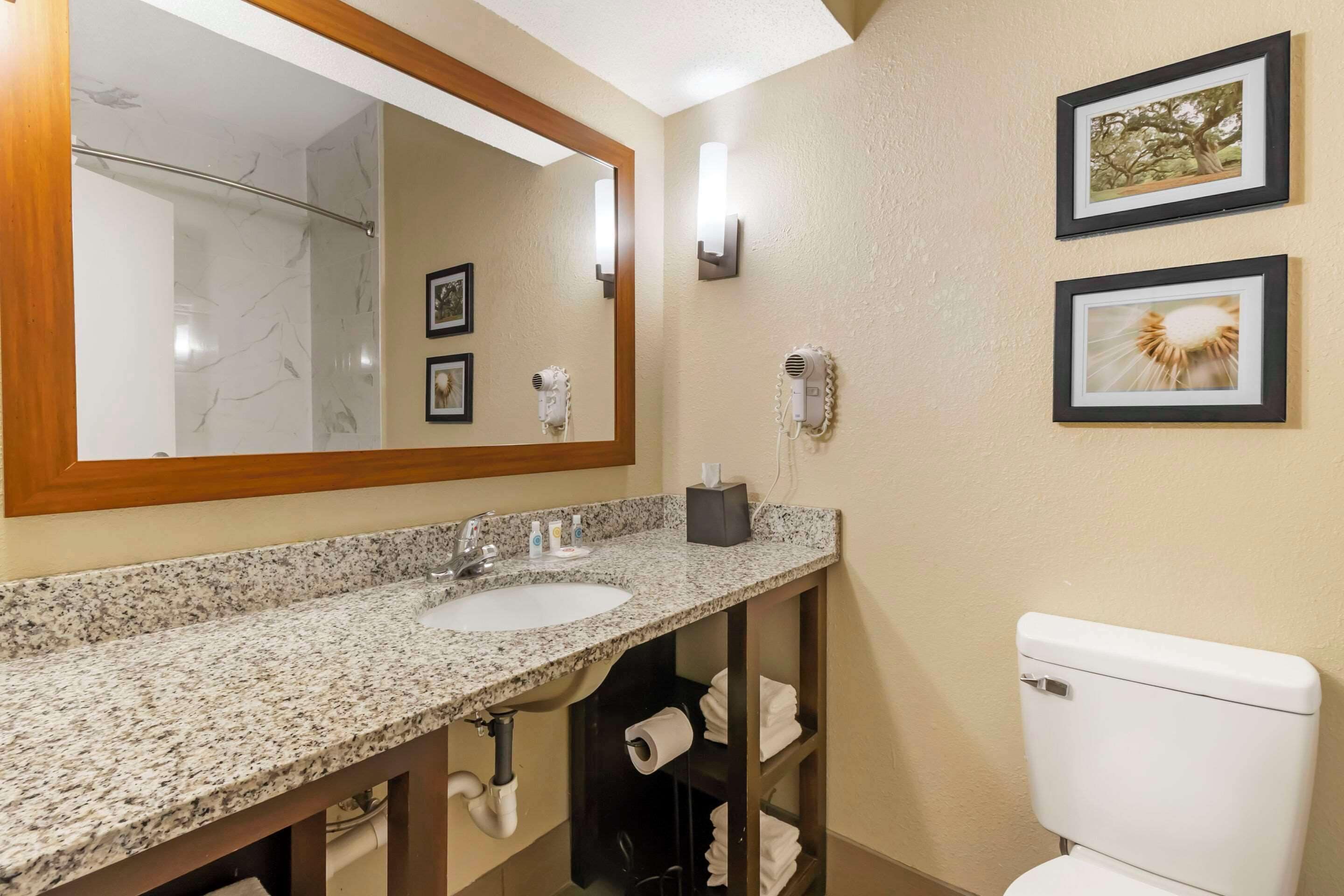 suite, 1 king bed with sofa bed, non smoking | desk, laptop workspace, blackout curtains, iron/ironing board