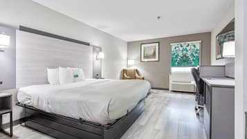 Habitación, 1 cama King size, con acceso para personas discapacitadas, para no fumadores | Caja de seguridad en la habitación y tabla de planchar con plancha