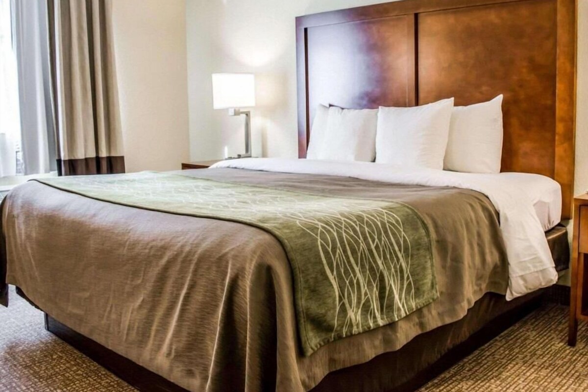 A hotel room with a large bed, a nightstand, a lamp, and a window with curtains.