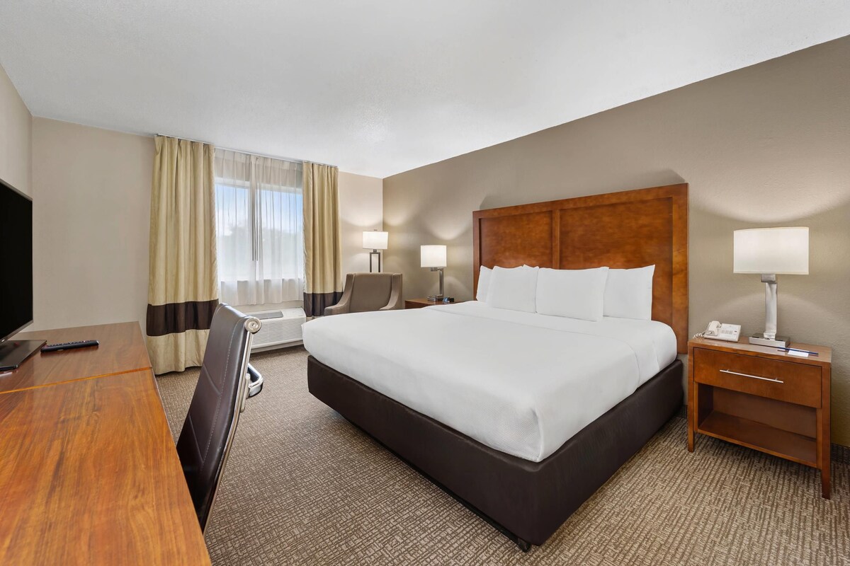Room, 1 King Bed, Accessible, Non Smoking | Desk, laptop workspace, iron/ironing board, WiFi (free)