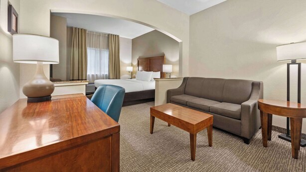 Suite, 1 King Bed, Non Smoking | Desk, laptop workspace, iron/ironing board, WiFi (free) - Comfort Inn Fort Myers Northeast (Fort Myers)