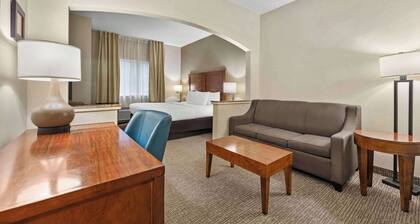 Comfort Inn Fort Myers Northeast