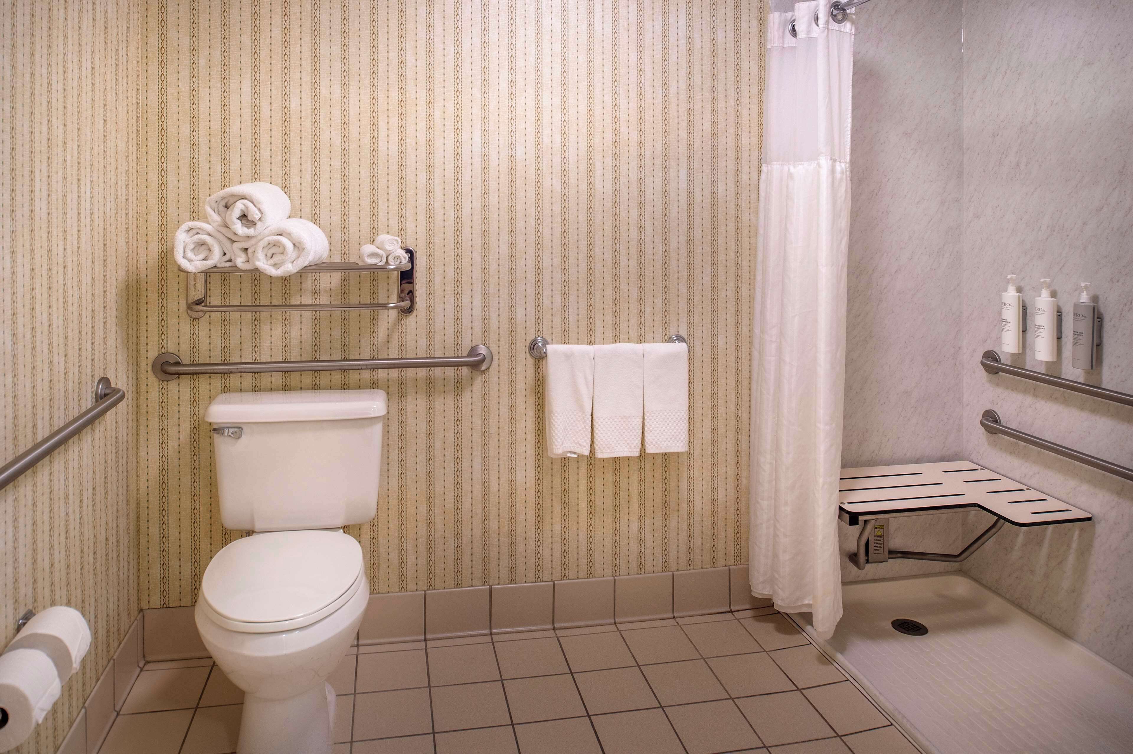 A bathroom with a toilet, towel rack, shower area, and handrails.