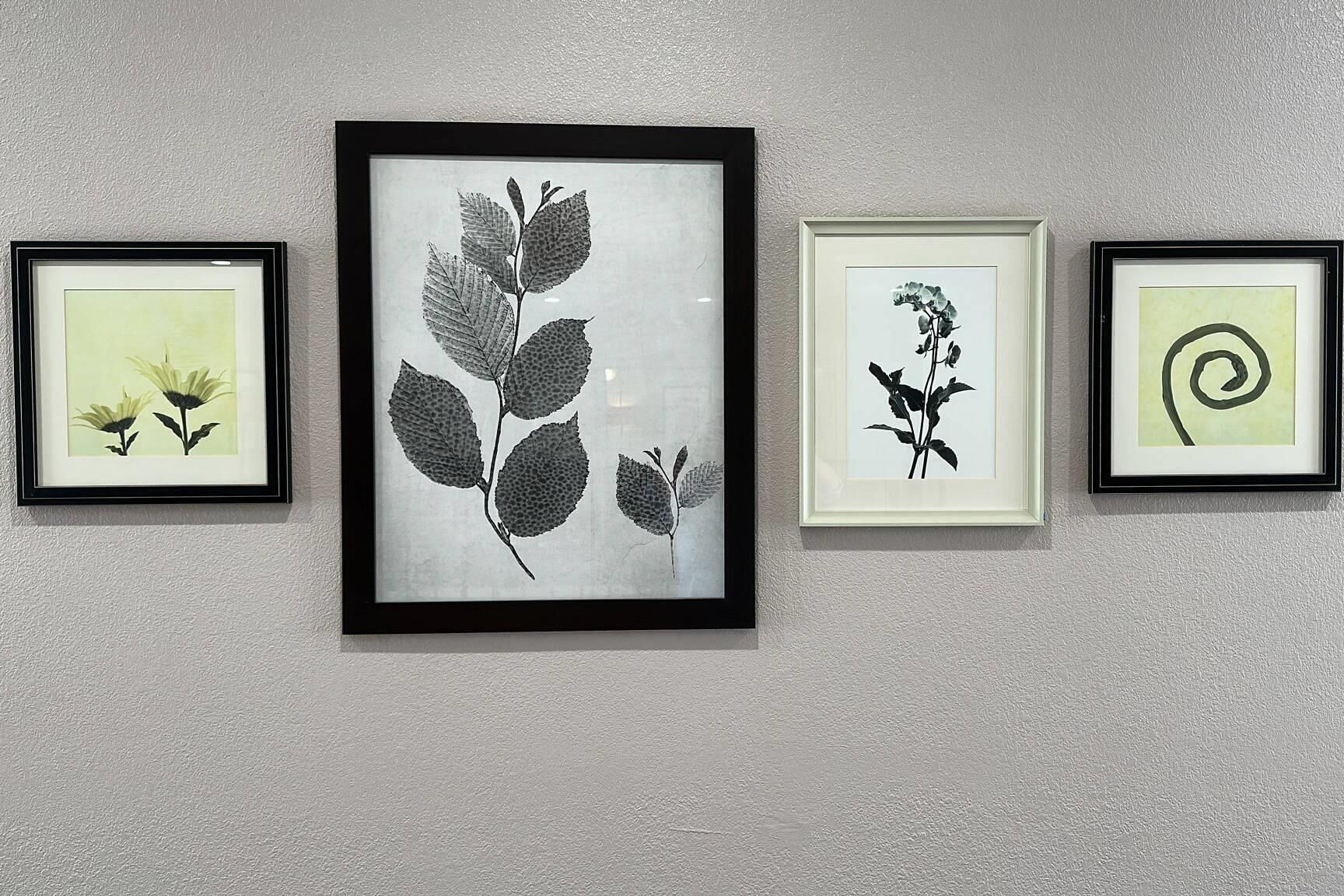 Four framed botanical prints on a wall.