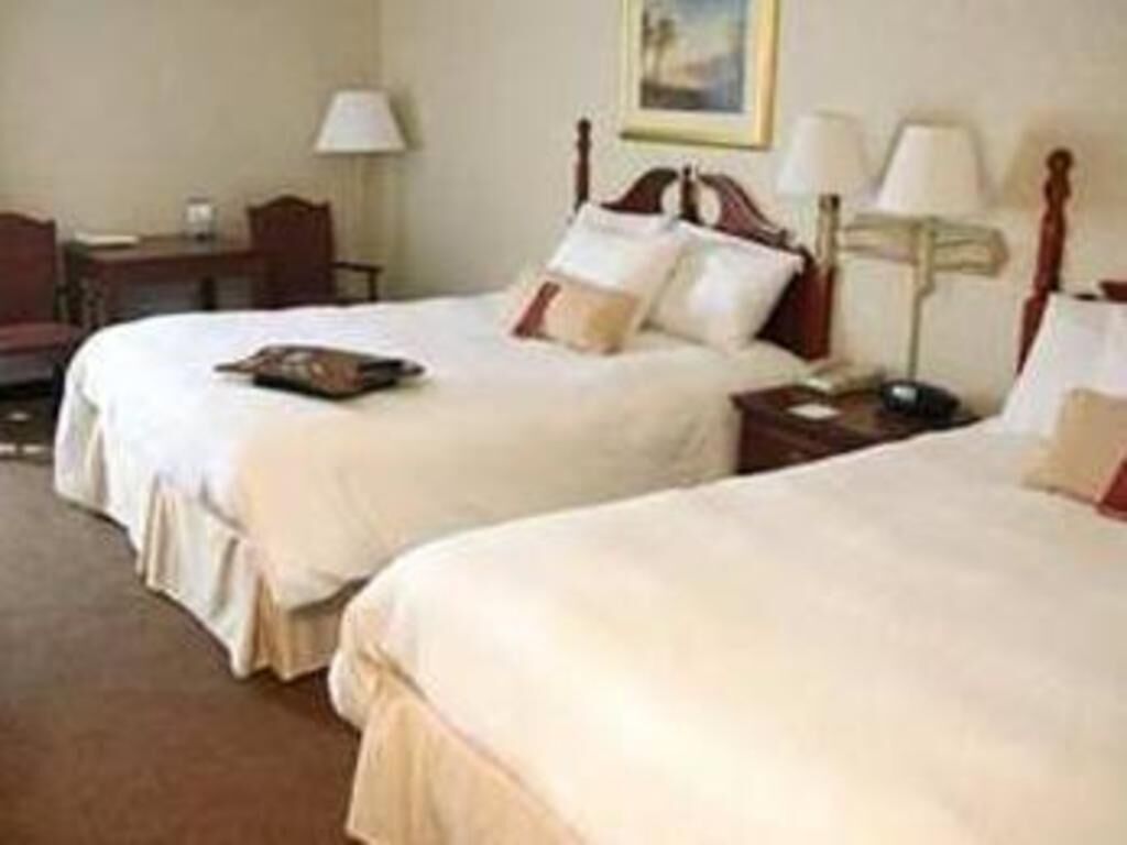 Down comforters, in-room safe, desk, iron/ironing board