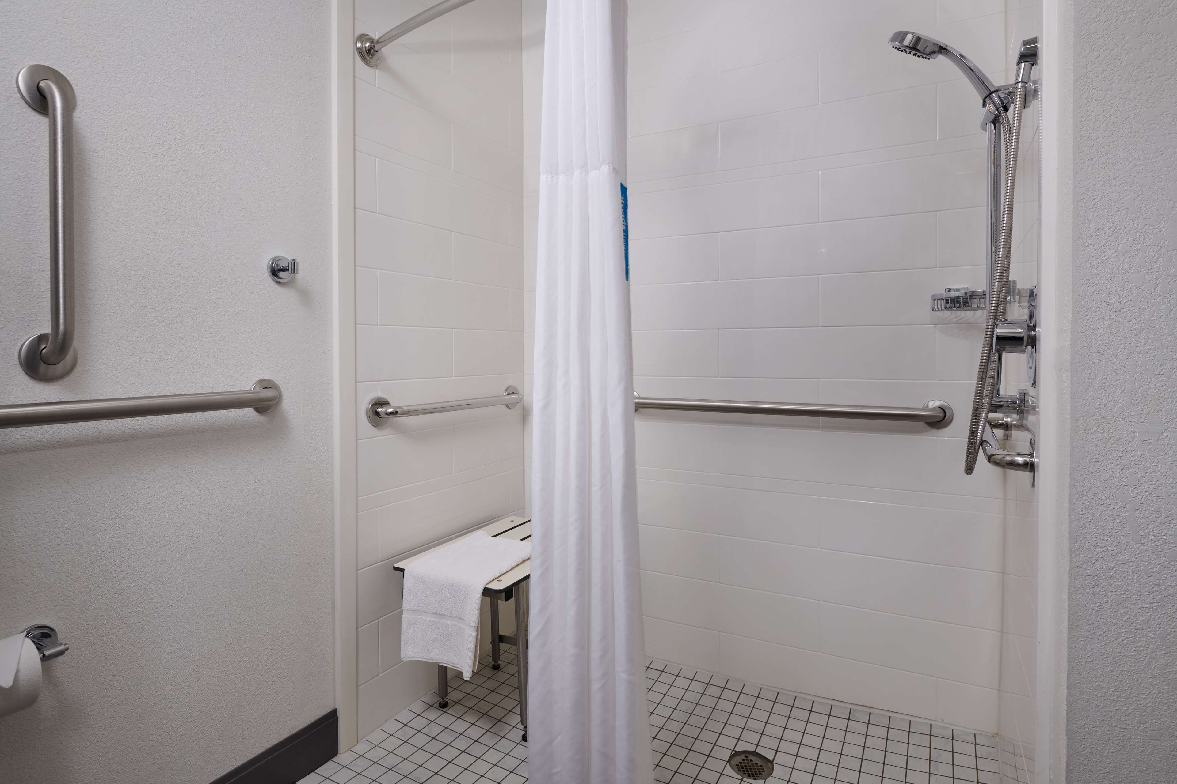 room, 1 king bed, accessible (roll-in shower) | bathroom shower