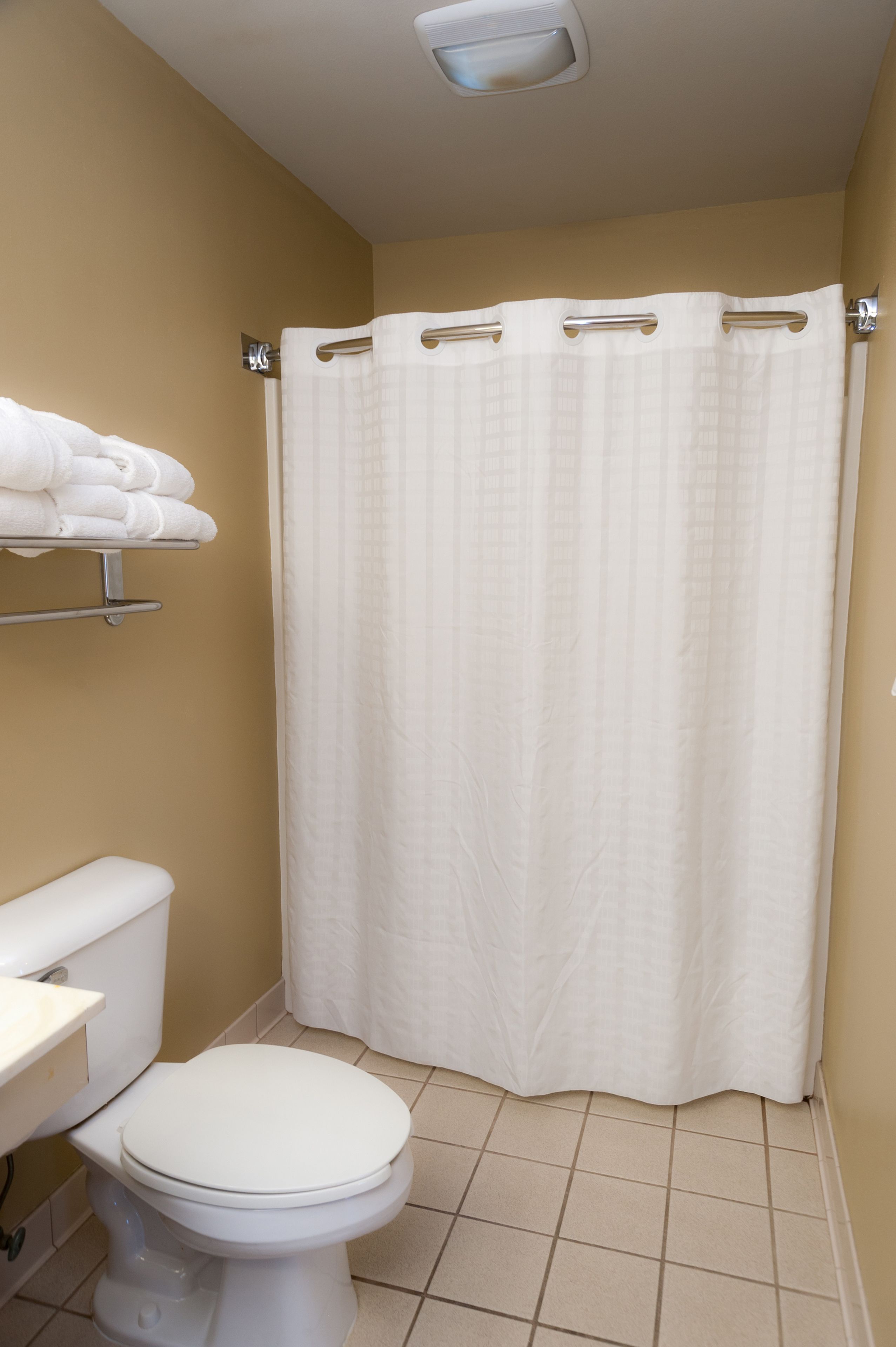 A bathroom with a toilet, a sink, and a shower curtain.