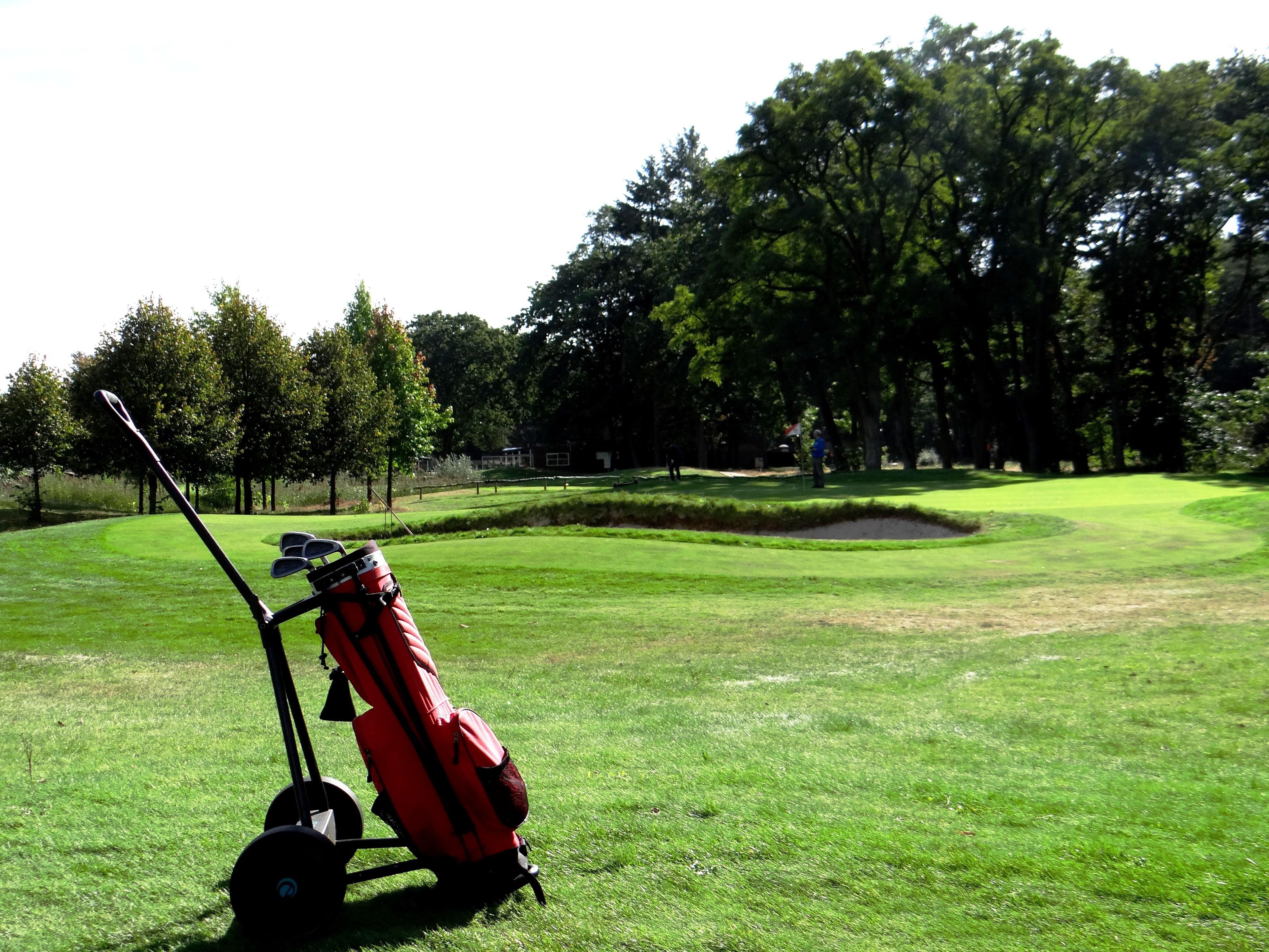 A golf course with a cart and bag, trees, and a clear sky.
