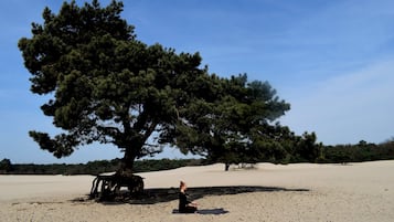 A person sitting on a mat under a large tree in a desert landscape.