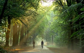 Vélo