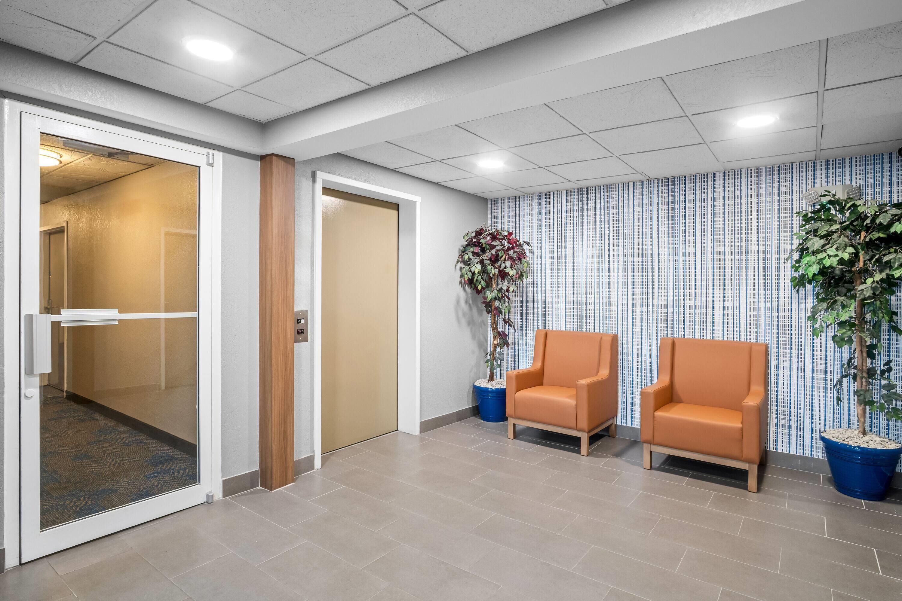 A reception area with two chairs, a potted plant, and a patterned wall.