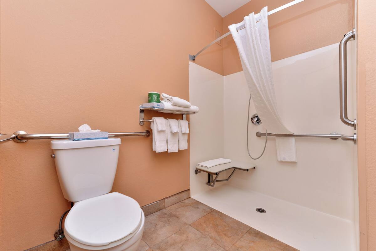 Habitación, 1 habitación (Mobility, Roll-In Shower) | Escritorio, espacio para trabajar con un portátil, cortinas opacas
