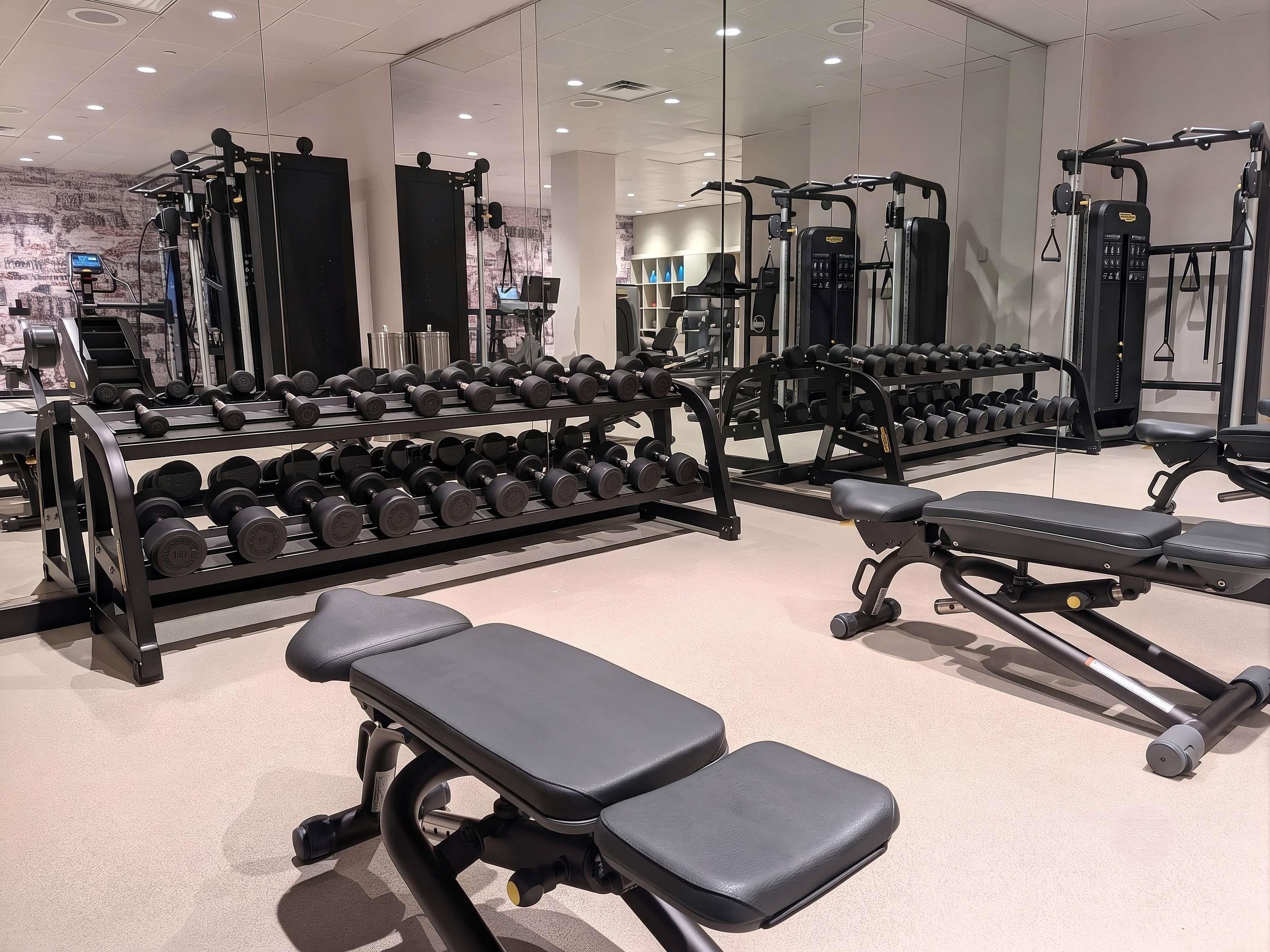 Un gimnasio con diverso equipo de ejercicio, como mancuernas, bancos y máquinas de pesas.