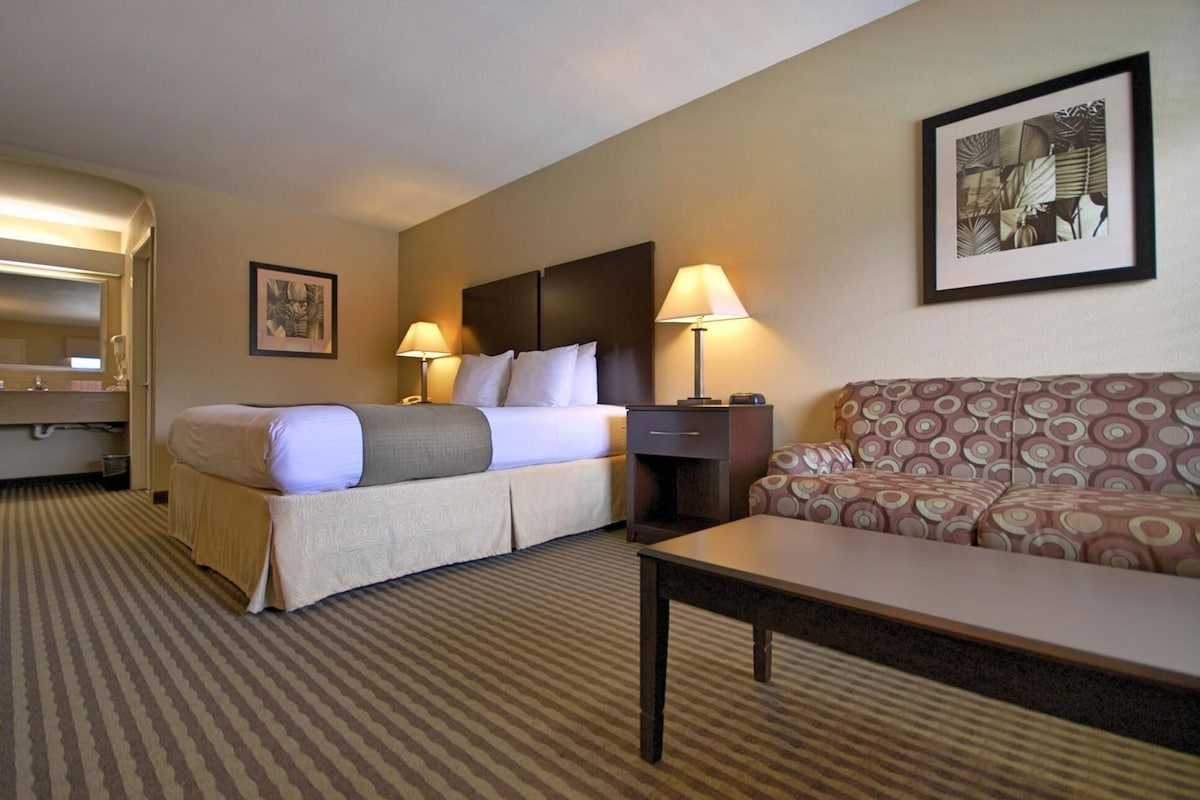 A hotel room with a bed, a sofa, a desk, two lamps, a framed picture, and a carpeted floor.