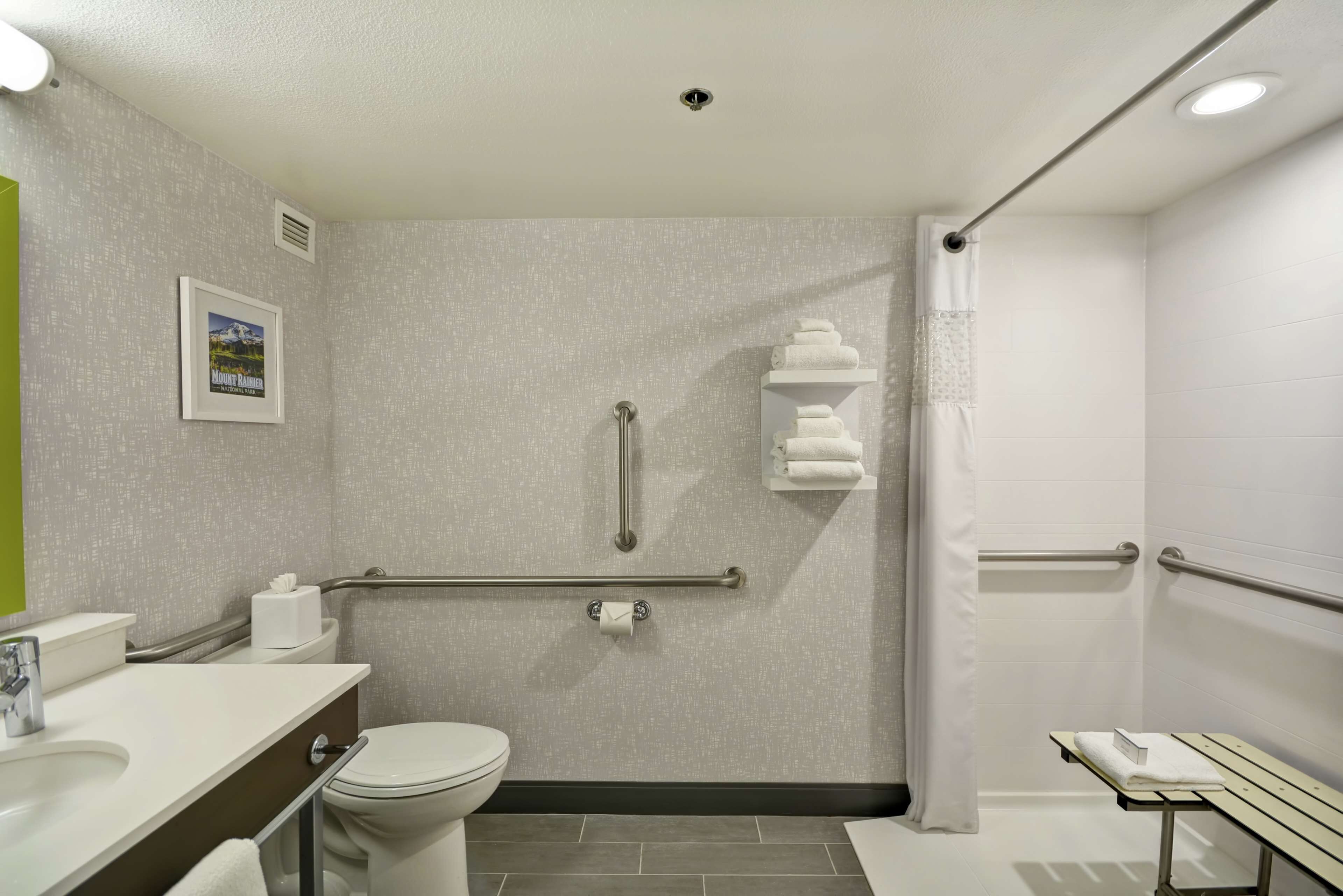room, accessible, non smoking | bathroom shower