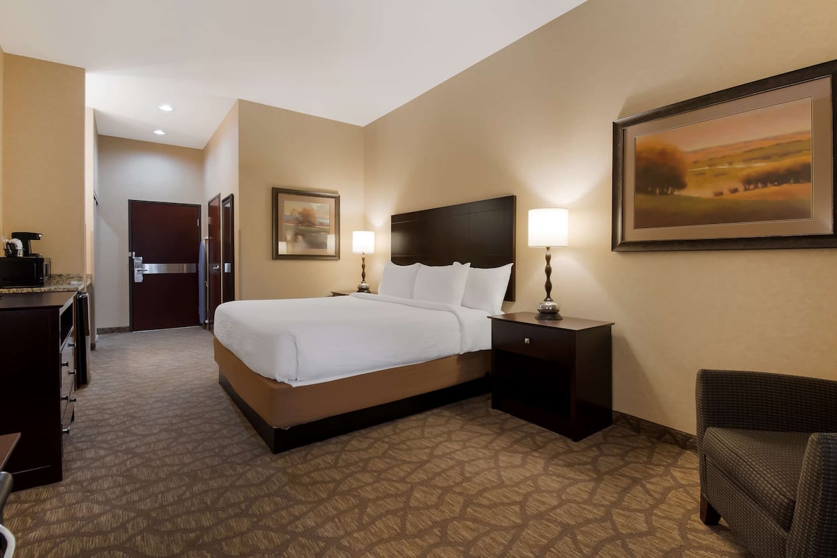 Standard Room, 1 King Bed, Accessible, Refrigerator & Microwave | Desk, laptop workspace, iron/ironing board, free cribs/infant beds