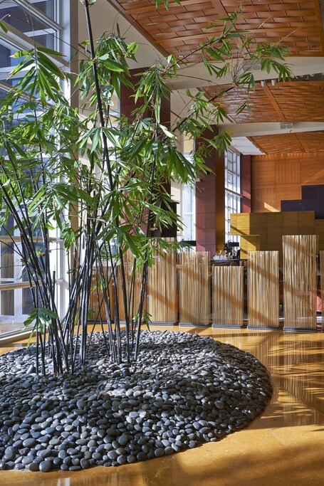 Mandarin Oriental, Miami - Image 15
