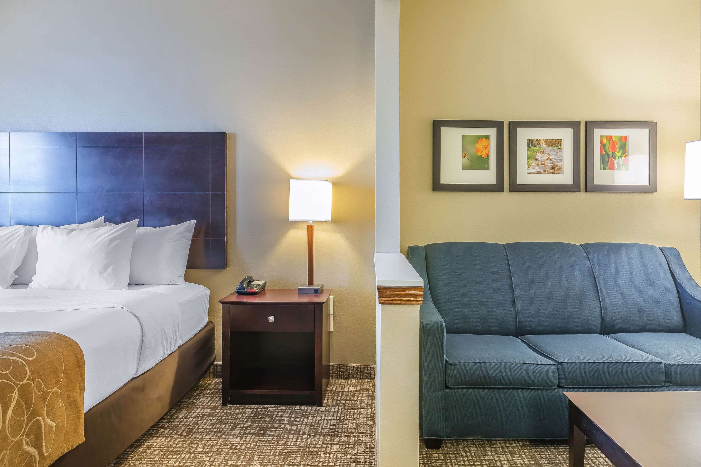 A hotel room with a bed, bedside lamp, nightstand, and a sofa.