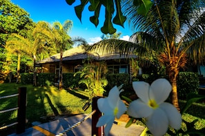Executive Suite, Oceanfront | View from room
